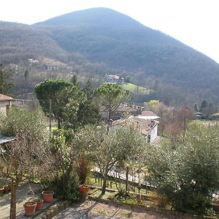 Locanda-Trattoria Al Rio Cinto Euganeo Exteriér fotografie